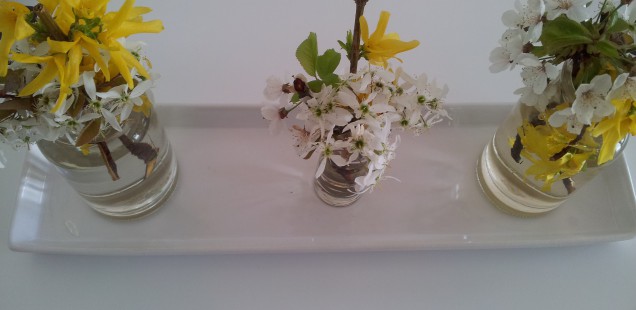 Brunch mit vielen Leckereien
